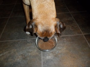 Beau drinking green smoothie (or blue smoothie in this case)