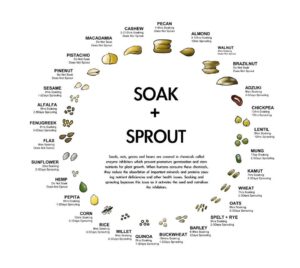 Read more about the article How to Soak Nuts