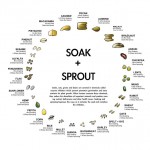 how to soak and sprout nuts