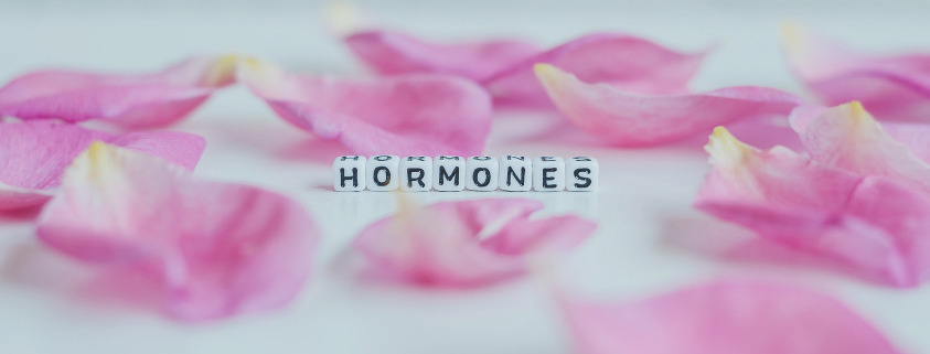 Why Estrogen Balance is Important