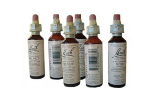 Read more about the article Bach Flower Remedies