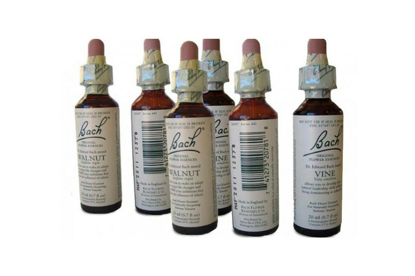 You are currently viewing Bach Flower Remedies