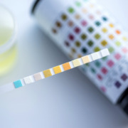 pH strips and test bottle
