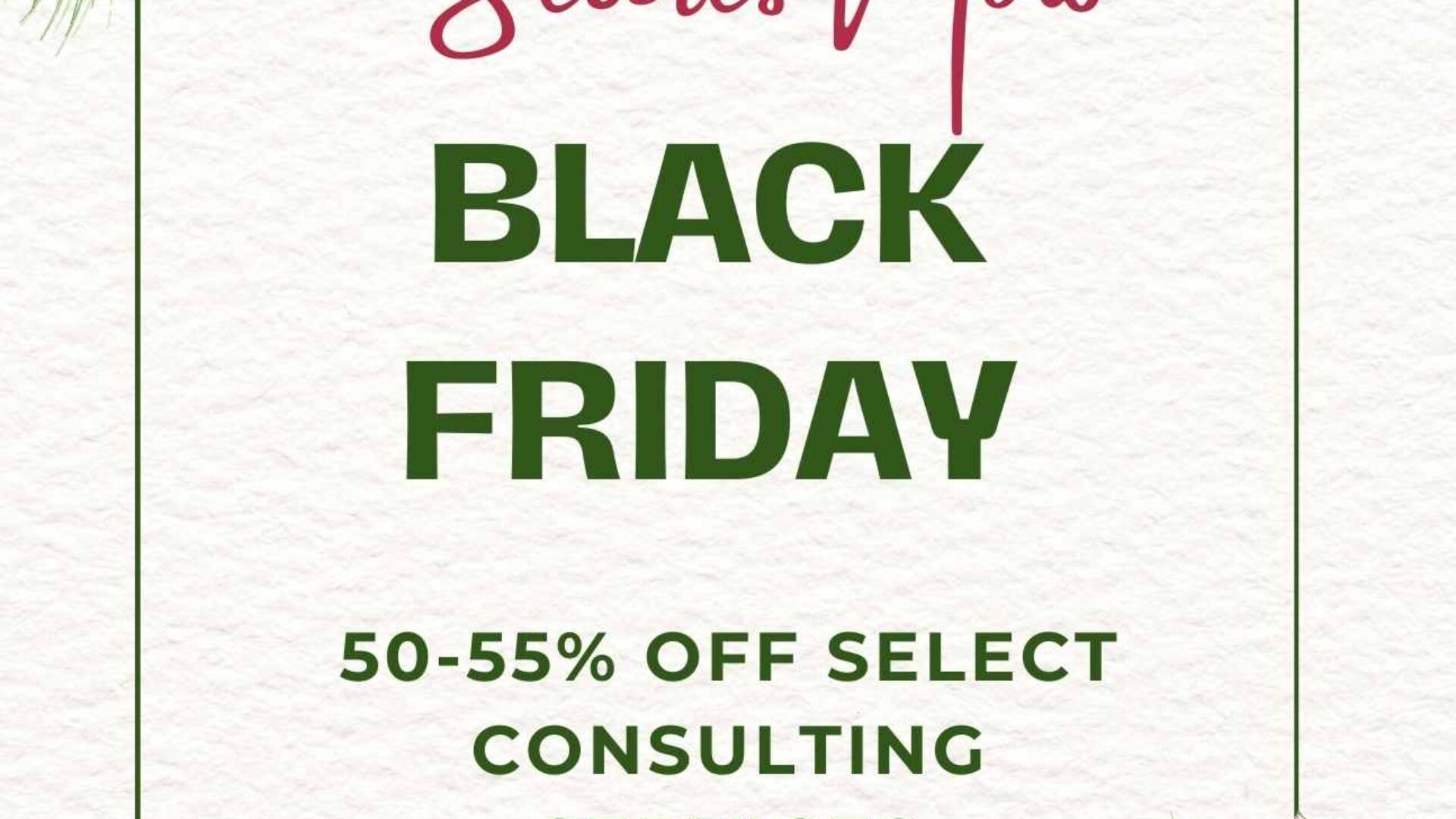 Holistic Consulting Black Friday Deals