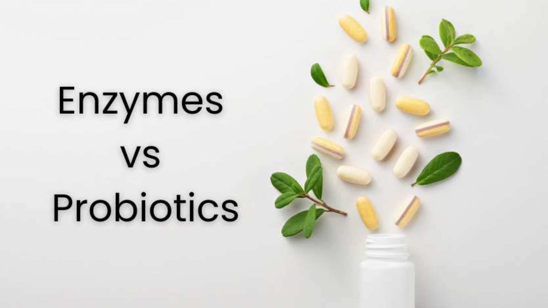 Understanding Enzymes and Probiotics