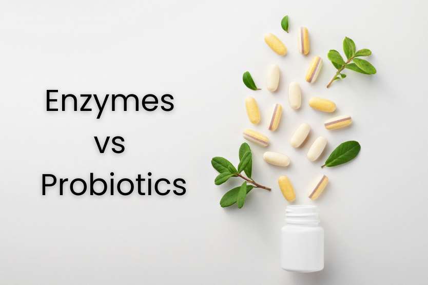 You are currently viewing Understanding Enzymes and Probiotics