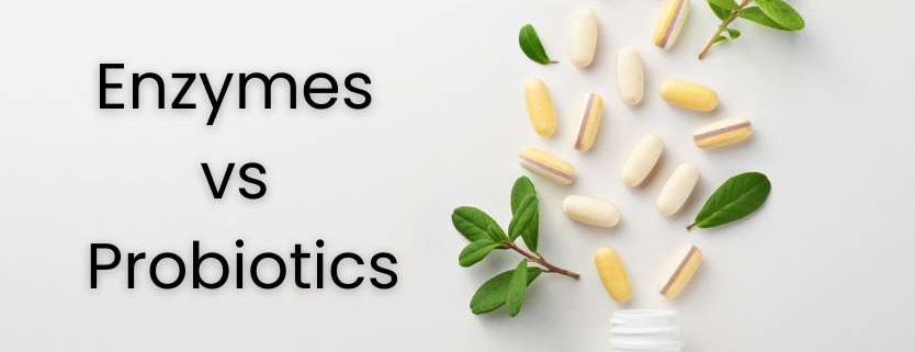 Understanding Enzymes and Probiotics