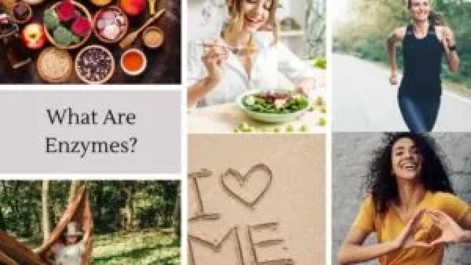 What are Enzymes?