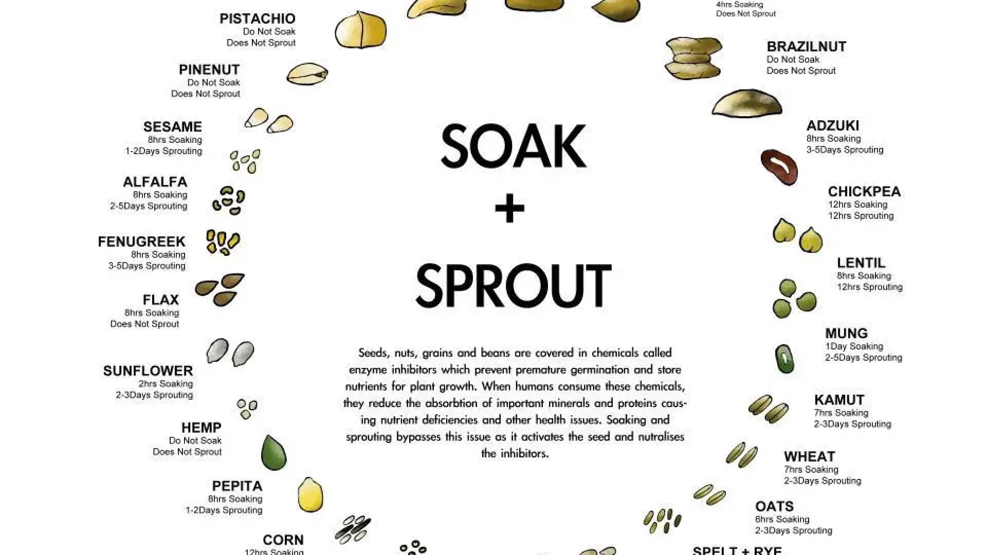 Improve Digestion with Soaking Nuts and Seeds