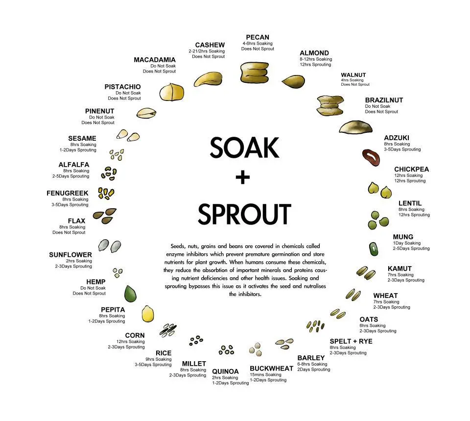 You are currently viewing Improve Digestion with Soaking Nuts and Seeds
